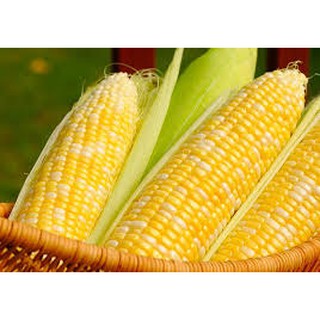 500G BỘT NGÔ NGUYÊN CHẤT( BẮP VÀNG)
