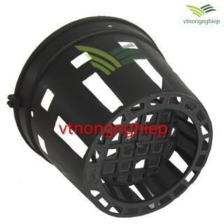 Chậu nhựa trồng lan phi 14-16 cm