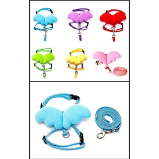 Phụ kiện thú cưng - dây dắt thú cưng có hình gấu , cánh thiên thần dây dắt lưng yếm thú cưng đi dạo