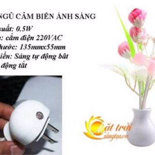 Đèn ngủ cảm biến đổi màu