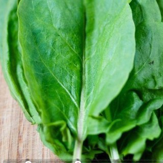 1Gr Hạt Giống Rau Chua Sorrel