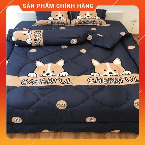 Bộ chăn phao trần bông ga gối 5 món chất liệu cotton poly đồng bộ màu sắc nhã nhặn | BigBuy360 - bigbuy360.vn