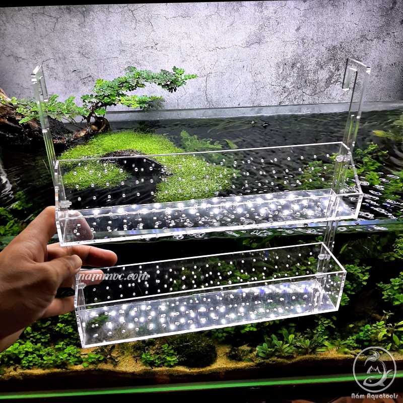 Box Treo / Kệ Treo Acrylic || Trồng Cây Thuỷ Sinh - Chứa San Hô Trang Trí Bể Cá Nước Mặn