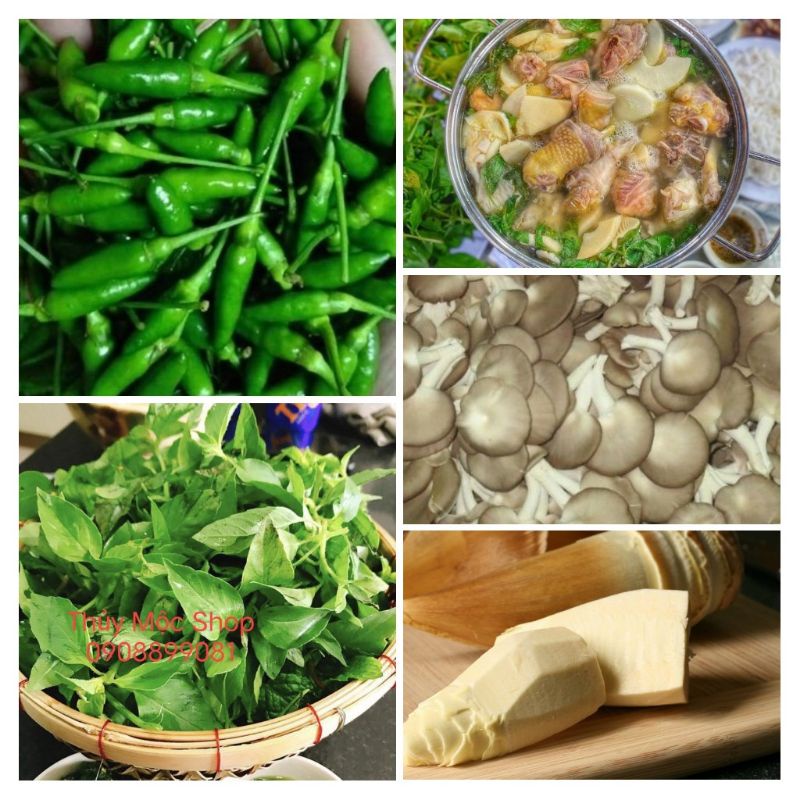 LÁ É TƯƠI PHÚ YÊN💥"COMBO NGUYÊN LIỆU LẨU GÀ LÁ É" : LÁ É TƯƠI, MĂNG CỦ LUỘC, NẤM BÀO NGƯ, ỚT XIÊM XANH, BÚN TƯƠI