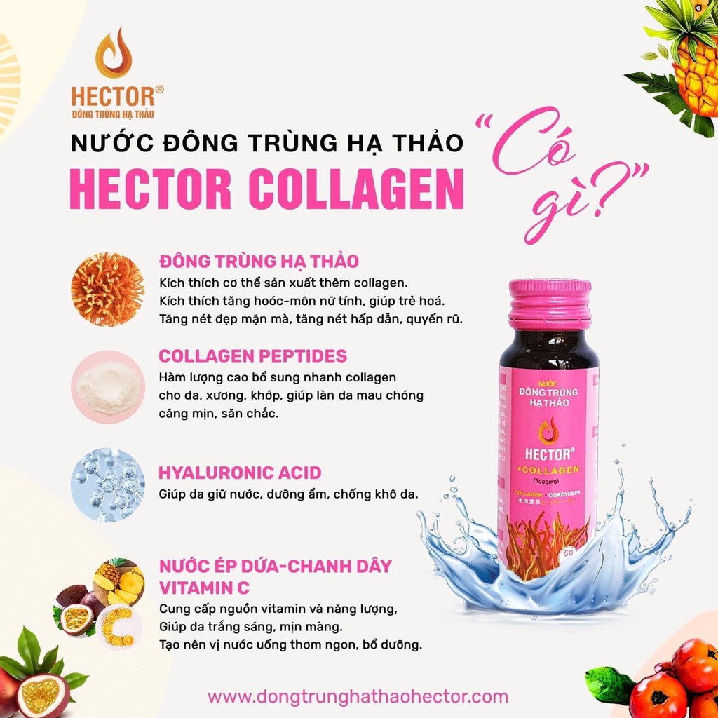 Nước Đông Trùng Hạ Thảo Hector Collagen Hộp 10 Chai Hector Cordyceps Collagen