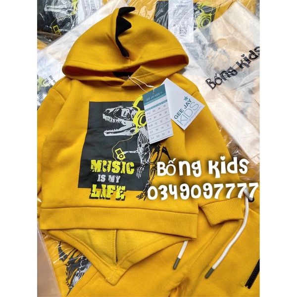 Bộ Nỉ Hoodie Bé Trai Khủg Log Vàng GJ