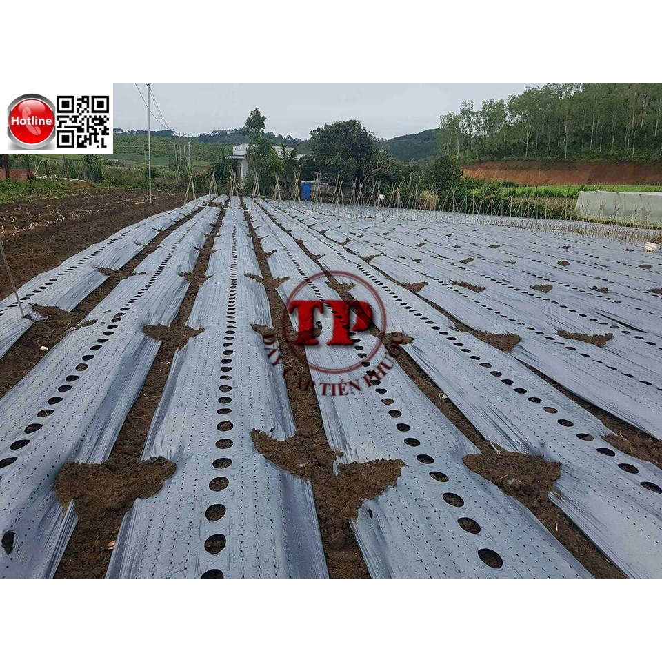 Màng công trình, màng phủ nông nghiệp 400m