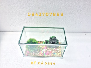 Set bể cá mini viền gương và lọc thác ( tặng phụ kiện)