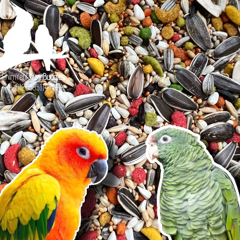 2kg thức ăn hạt hỗn hợp + Zupreem [Zupreem Mix Seed] cho Vẹt Lovebird • Cockatiel • Parrotlet.