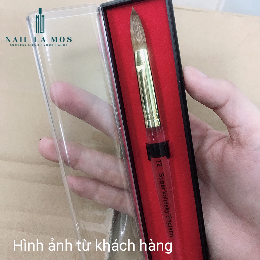Cọ đắp bột Super Kolinsky England chính hãng - Cọ lông chồn mềm mại, bám bột, cán trong suốt