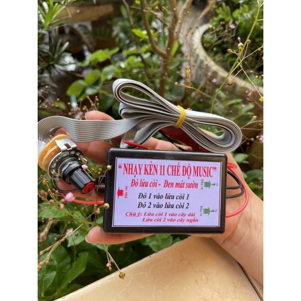 Nhại còi 11 tiếng music