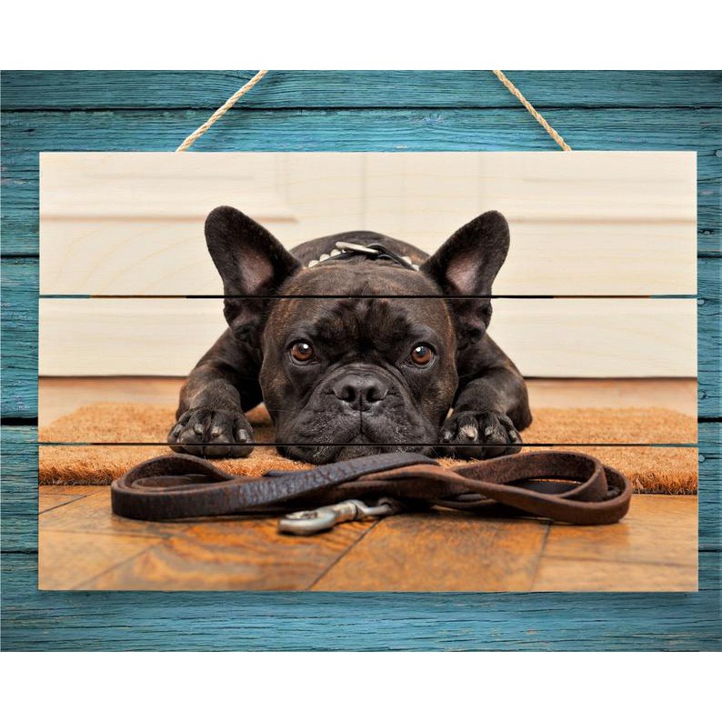 Quà kỷ niệm || Tranh gỗ kỷ niệm ảnh thú cưng, kích thước 30x40 cm hoặc 20x 30 cm