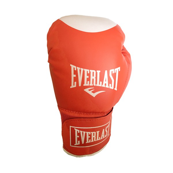 Găng tay boxing Everlast cao cấp