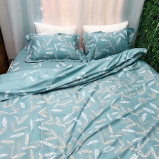Set vỏ chăn kèm ga gối