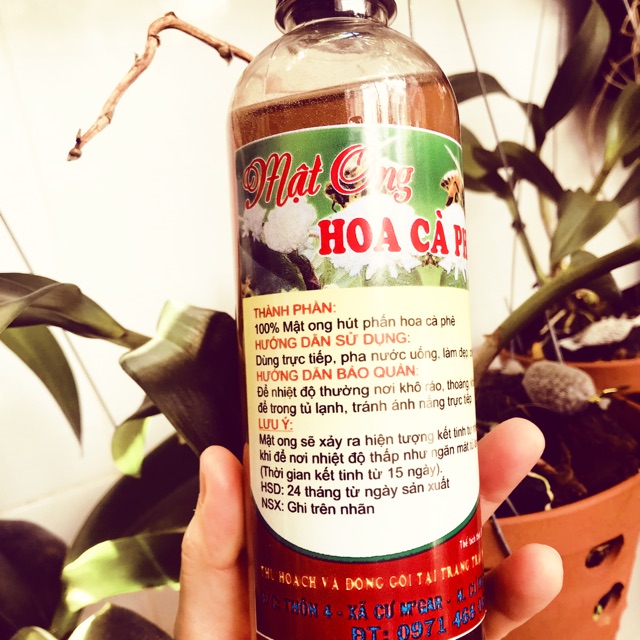 Mật ong nguyên chất cô Hà