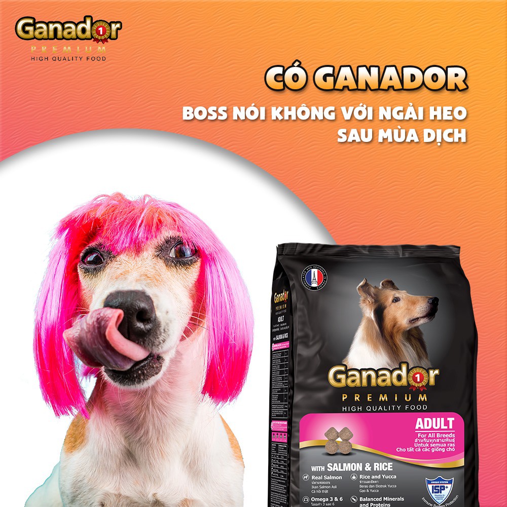 [400g] Ganador Thức ăn hạt cho chó trưởng thành vị cá hồi &amp; gạo - Lida Pet Shop