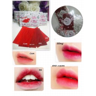 Son giấy cổ trang handmade (sỉ )