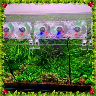 QUẠT THUỶ SINH TRONG SUỐT , HỒ CÁ , HỒ TÉP