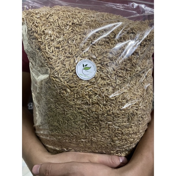 VỎ TRẤU TƯƠI 1 túi đầy khoảng 1kg dùng trộn đất trồng cây. Dùng làm giá thể trồng cây