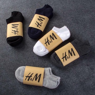 tất nam HM