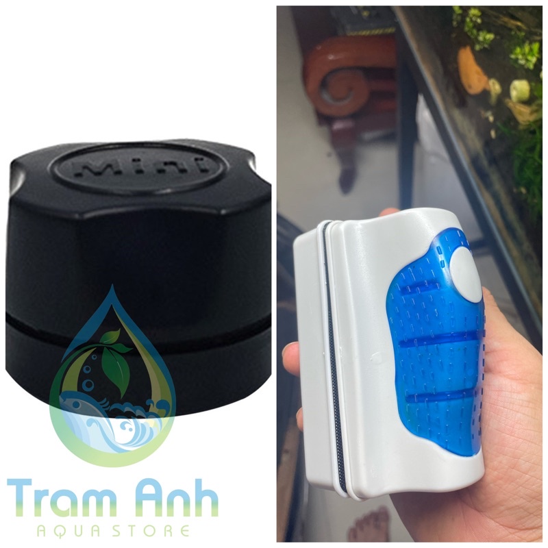 Nam châm vệ sinh bể cá