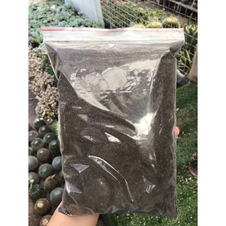 ĐẤT PEATMOSS, THAN MÙN RỂU CAO CẤP SIÊU DINH DƯỠNG, GIÁ THỂ ƯƠM MẦM, ƯƠM HẠT GIỐNG