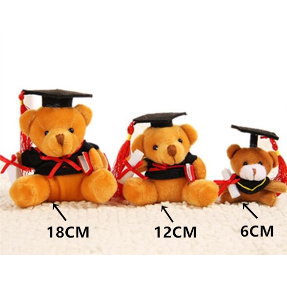 1 Móc Khóa Hình Chú Gấu Nhồi Bông Trong Lễ Tốt Nghiệp 12cm