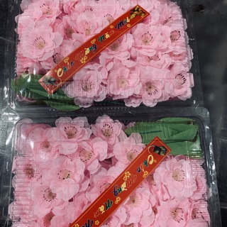 Hoa Anh đào cao cấp