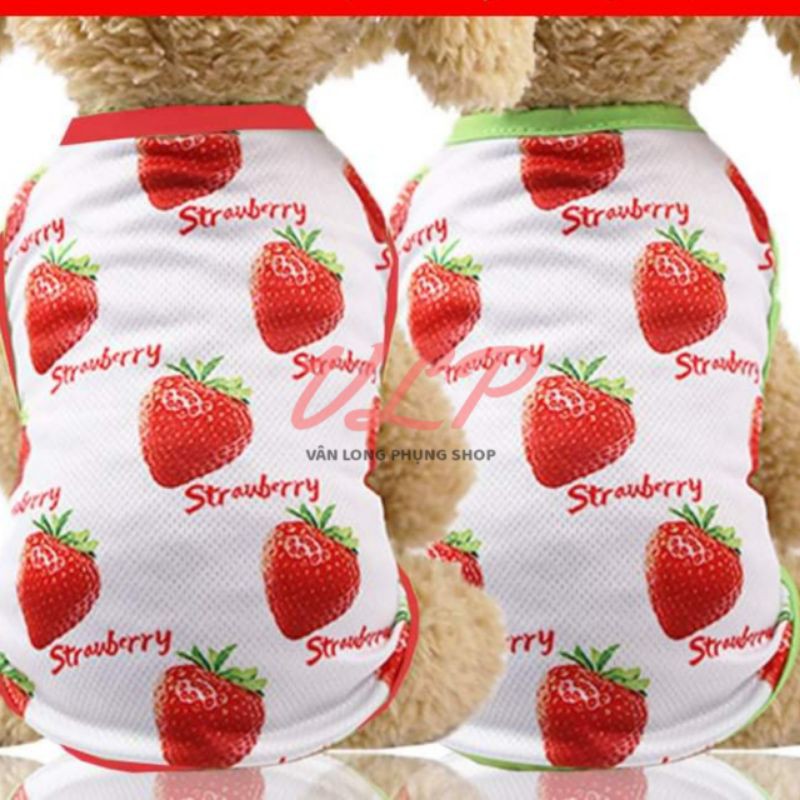 SET ÁO &amp; VÁY CHO THÚ CƯNG - QUẦN ÁO CHÓ MÈO HÌNH TRÁI DÂU