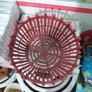 10 chậu trồng lan phi 20cm mới về