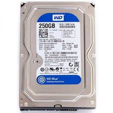 Ổ cứng HDD WD Western Digital 250GB 3.5" - Sata 3 - Bảo hành chính hãng 1 tháng | BigBuy360 - bigbuy360.vn
