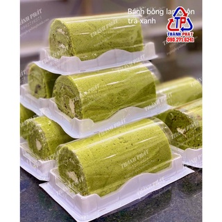 Hộp nhựa nắp vòm đựng bánh bông lan cuộn - Hộp nhựa H19 - Hộp nhựa đựng bánh bông lan