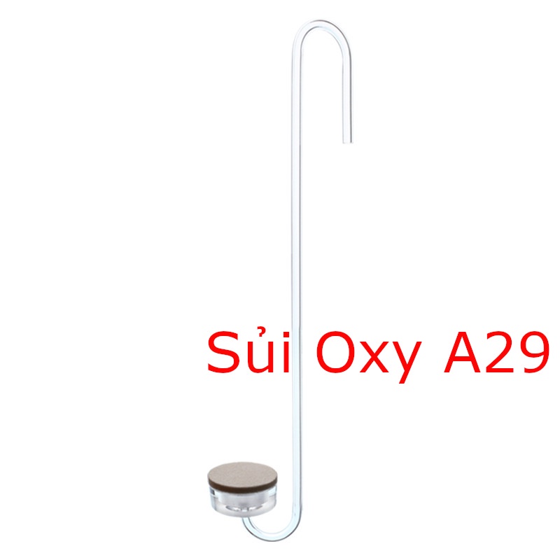 Cốc đĩa sủi OXY siêu mịn T25, T35, T50 và T100 dành cho hồ cá cảnh, hồ thủy sinh, VUI LÒNG XEM KỶ MÔ TẢ