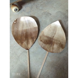 lá cọ khô decor giá rẻ