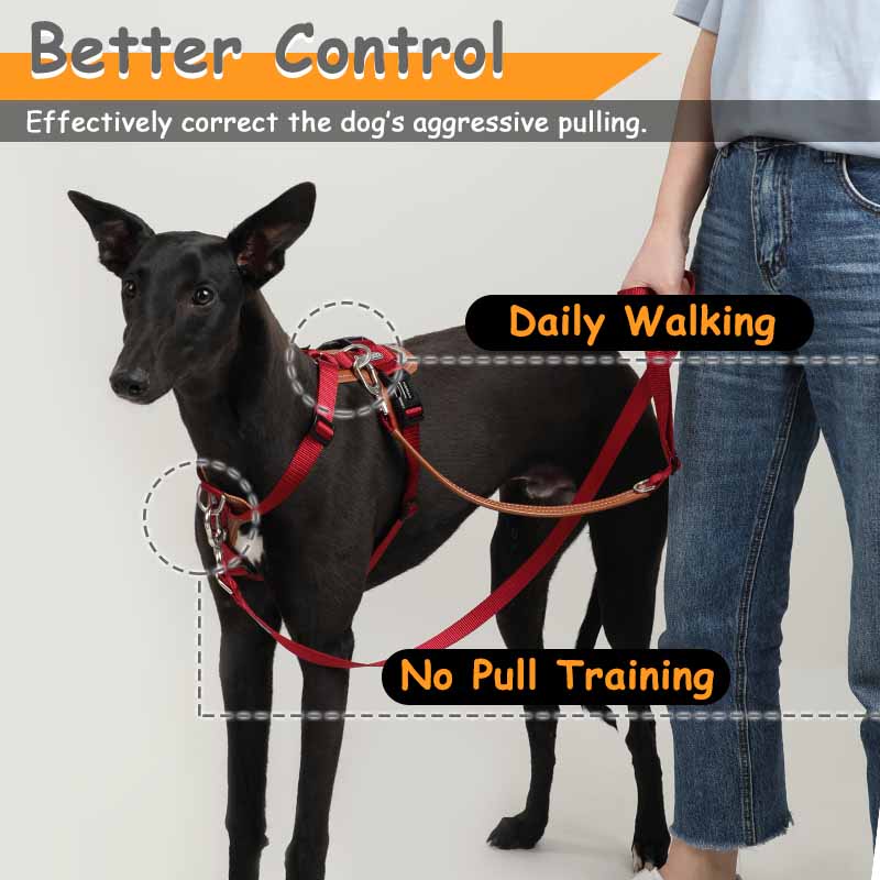 HamshMoc Dây Dắt Thú Cưng Đi Dạo Bằng Da Kèm 2 Kẹp Cỡ Nhỏ / Vừa / Lớn Tiện Dụng Cho Cún Cưng # 1