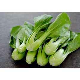 Hạt Giống CẢI BẸ TRẮNG (10 Gr)