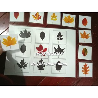 HỌC LIỆU CHO BÉ – Matching hình dạng