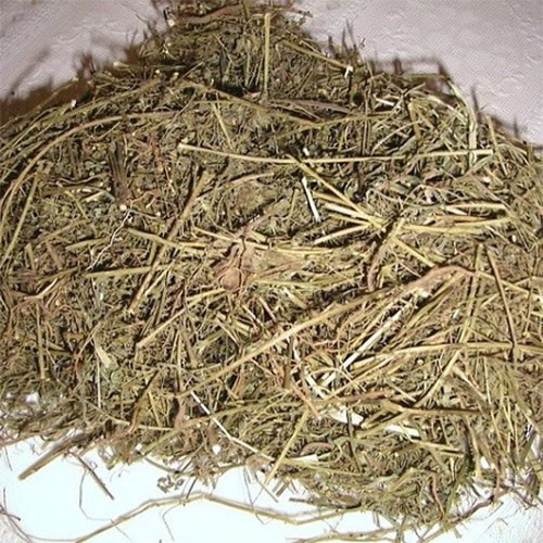 Diệp Hạ Châu Khô ( Chó đẻ răng cưa) 1kg