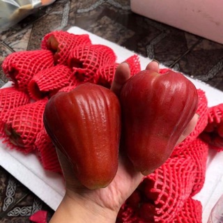 Combo roi ngọt nhót ngọt mít mít