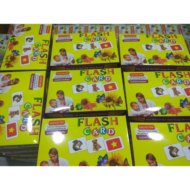 Bộ Thẻ Học Thông Minh 19 Chủ Đề loại to song ngữ tiếng Anh loại chuẩn Glenn Doman Flashcard cho bé từ 0-6 tuổi