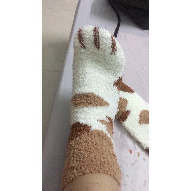 Set 6 đôi tất mèo cho mùa đông