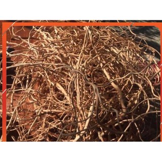 Lũa Rễ Rừng - Trang trí bố cục bể thuỷ sinh