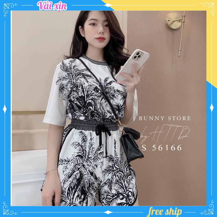 Set bộ cây dừa cotton lụa - S59  , thời trang nữ Hamoon