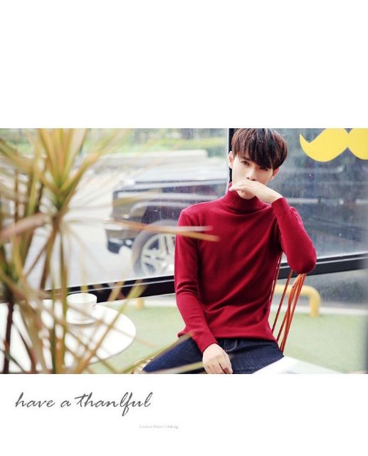 Áo cổ lọ nam | BigBuy360 - bigbuy360.vn