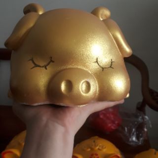 Heo đất thiên thần