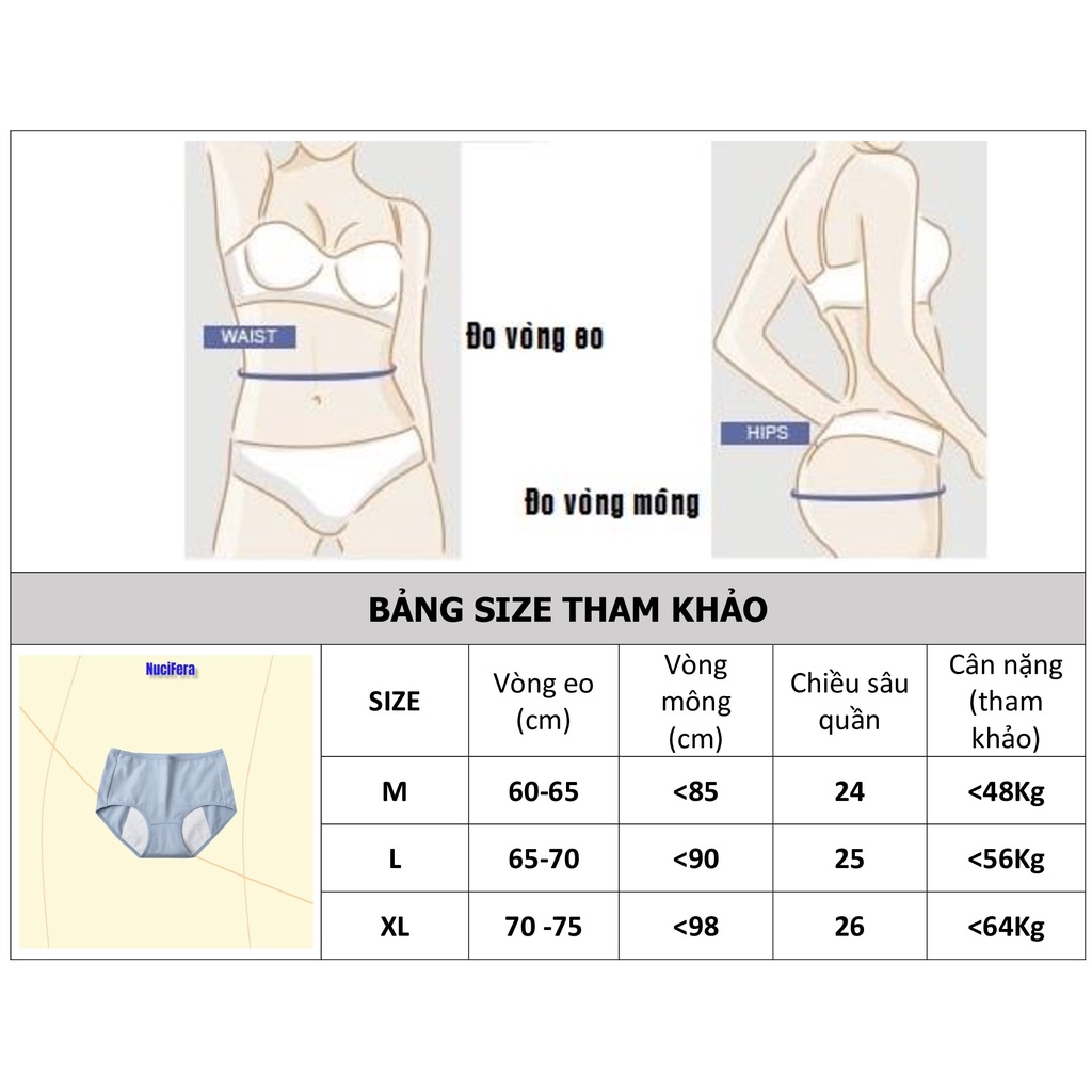 Quần lót chống tràn nguyệt san cotton kháng khuẩn thoáng khí QLN52