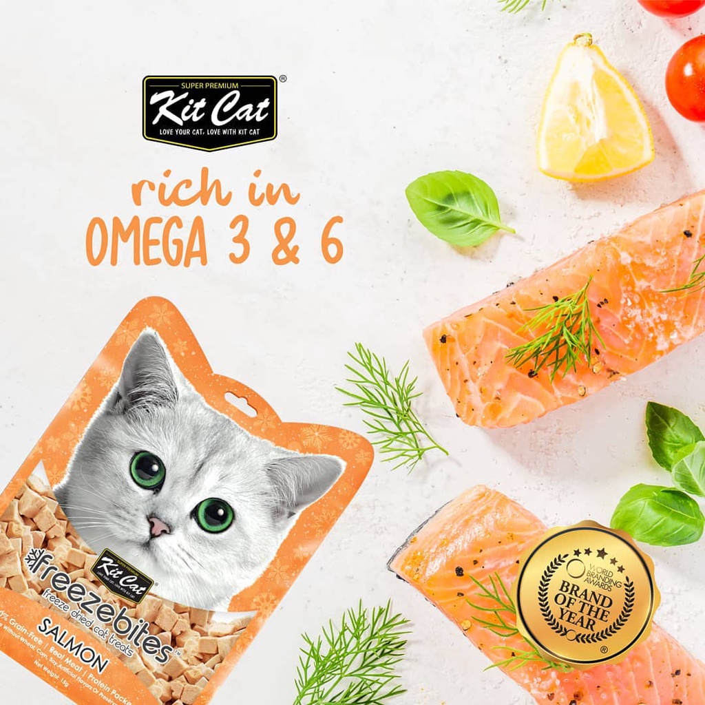 Snack thưởng sấy lạnh Cao cấp KITCAT FREEZE BITES GÓI cho mèo 15gr