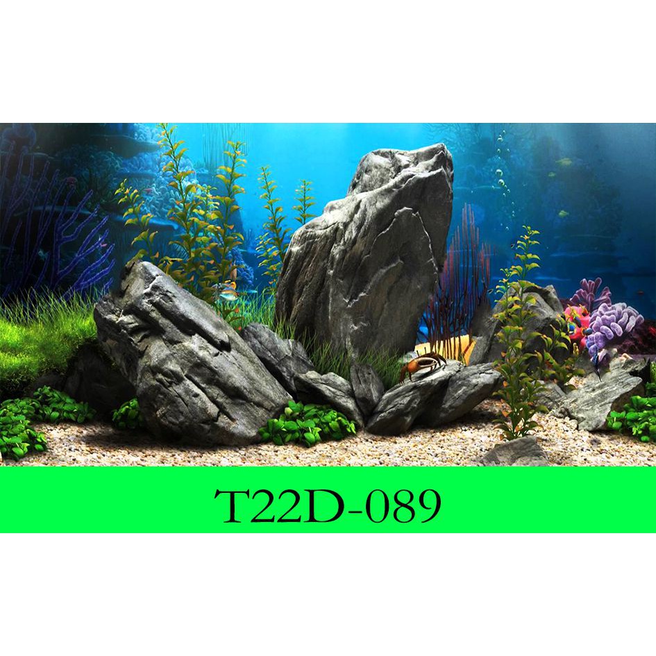 Tranh 3D dán bể cá, có keo sẵn tặng kèm đồ dán chuyên nghiệp đa dạng kích thước