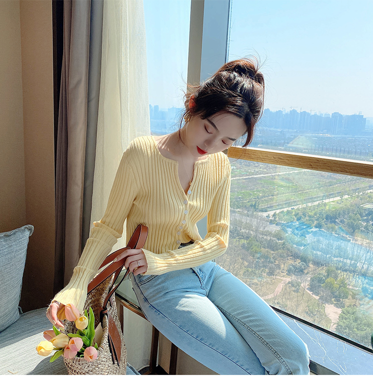 Áo Cardigan Dệt Kim Lụa Lạnh Mỏng Cổ V Dáng Ngắn Dễ Phối Đồ Cho Nữ | BigBuy360 - bigbuy360.vn