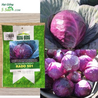 BẮP CẢI TÍM LAI F1 RADO 501 (0,5g)
